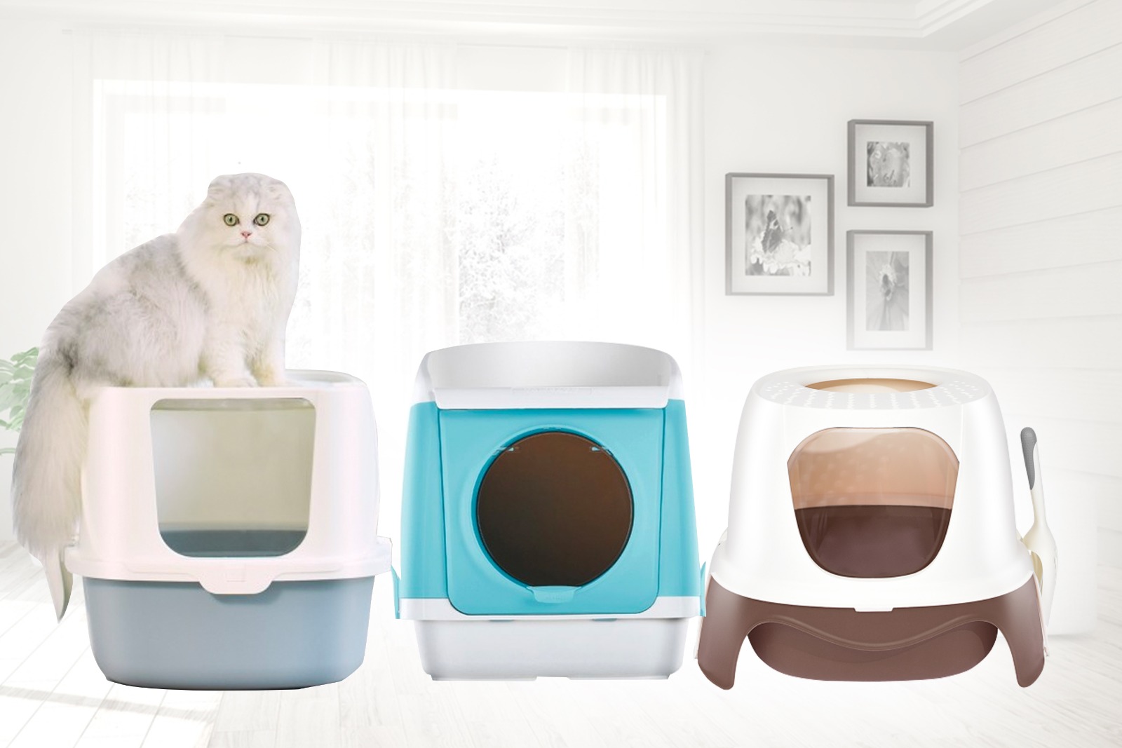 Get Your Scoop On the Best Fully Enclosed Feline Litter Box